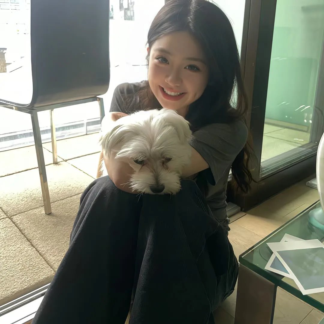 天使航班